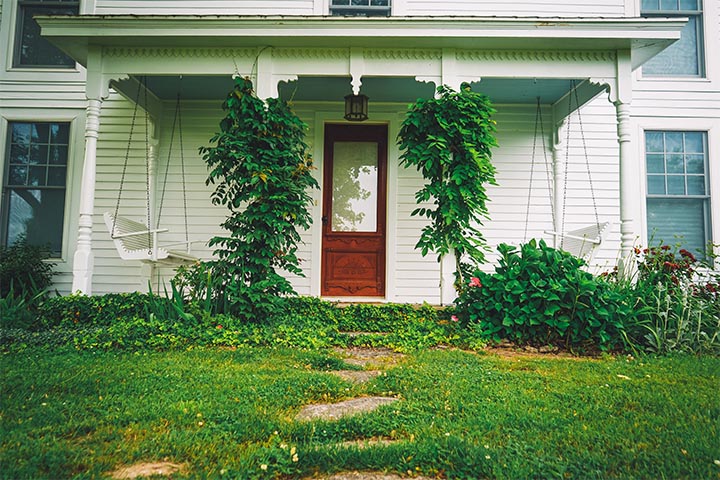 entry way plant designs